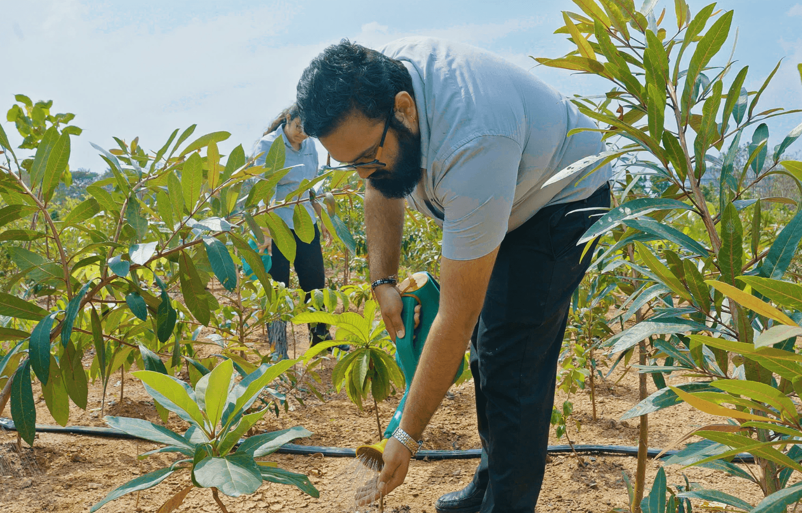 Biodiversity & Green Cover