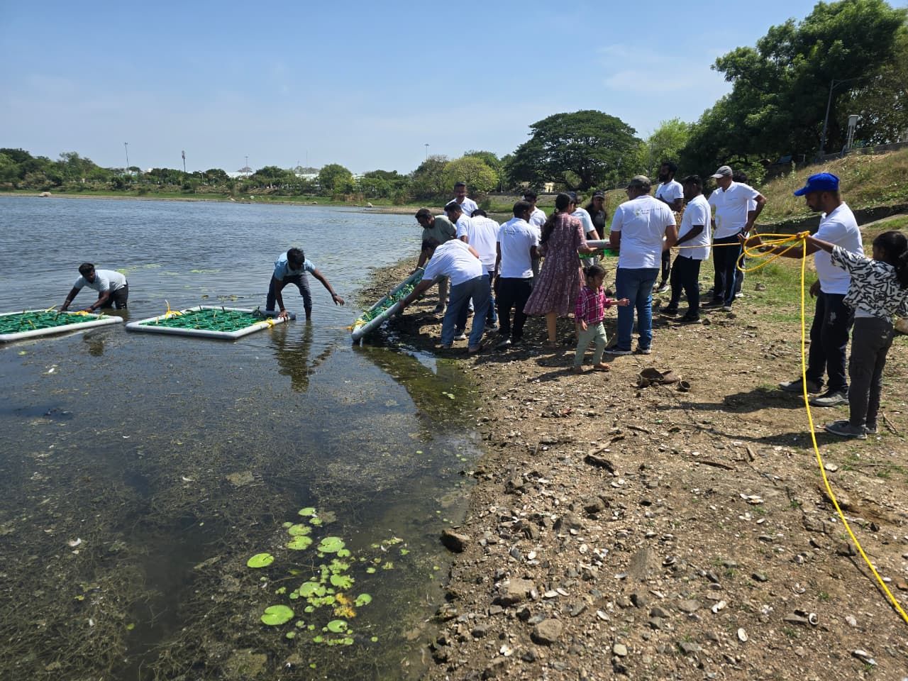 Social Month - . Floating Islands for Wetland Restoration Social Month - . Floating Islands for Wetland Restoration